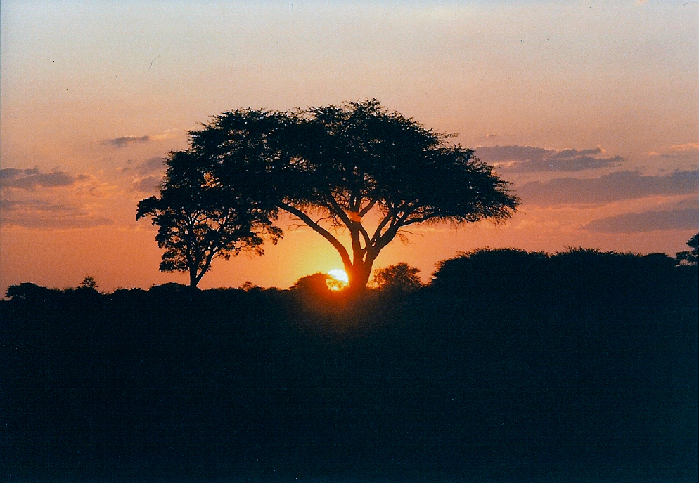 Sunset over the bush in Hwange National Park, Zimbabwe