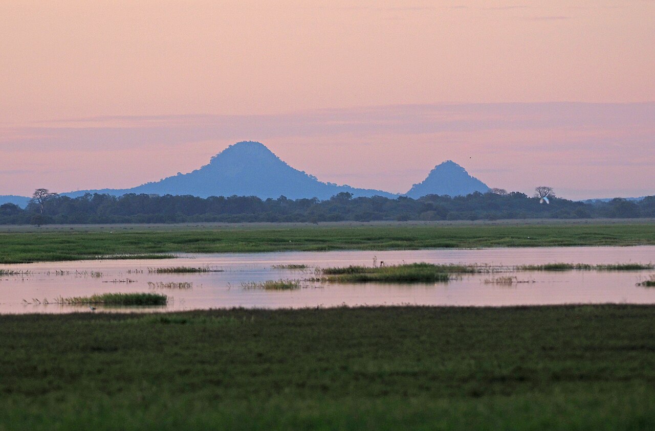 Mount Gorongosa rising above Gorongosa National Park, Mozambique